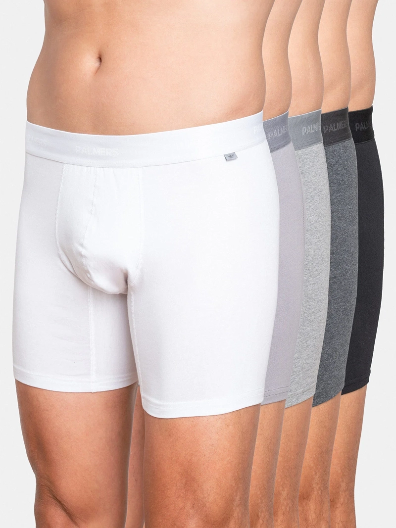 PACK X5 BÓXER HOMBRE PALMERS ALGODÓN  - 1