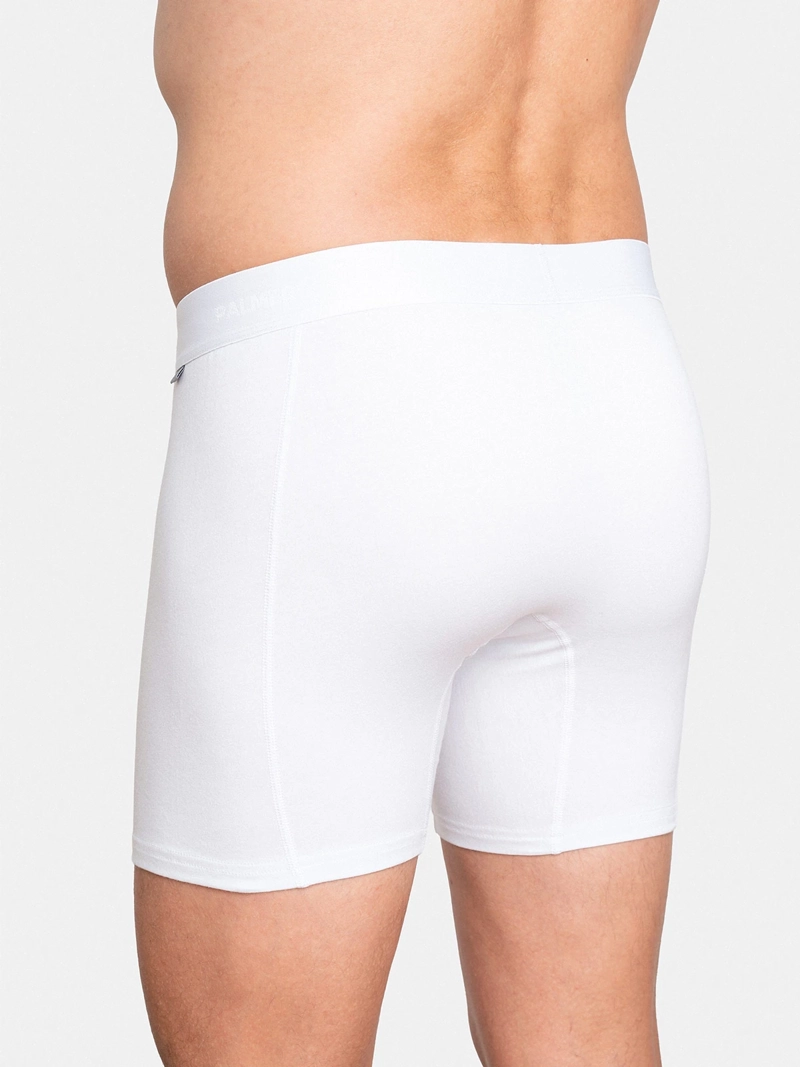 PACK X5 BÓXER HOMBRE PALMERS ALGODÓN  - 3