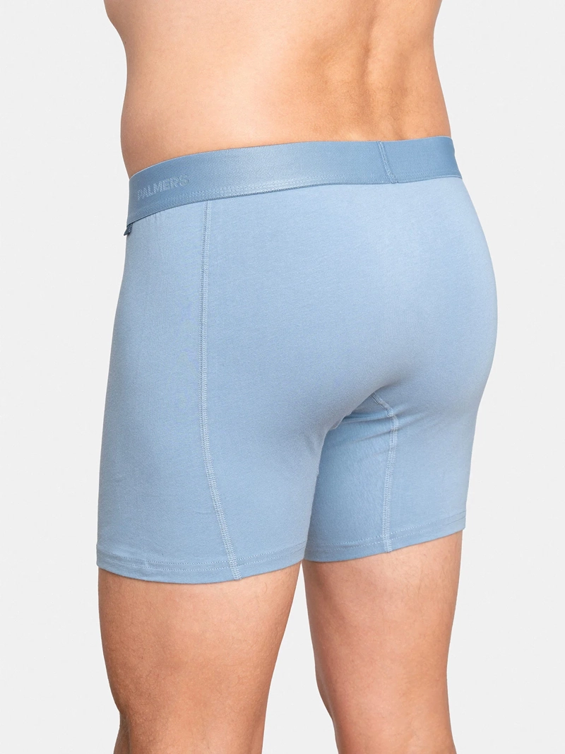 PACK X5 BÓXER HOMBRE PALMERS ALGODÓN  - 3