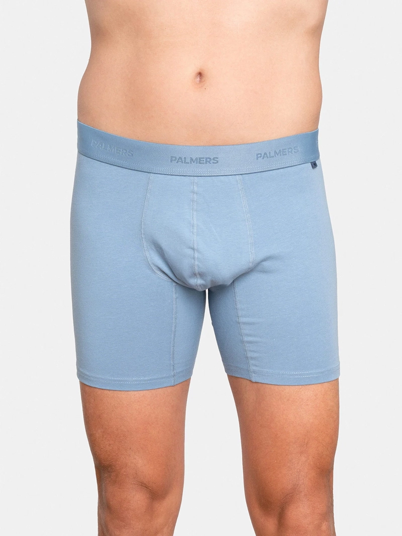 PACK X5 BÓXER HOMBRE PALMERS ALGODÓN  - 2