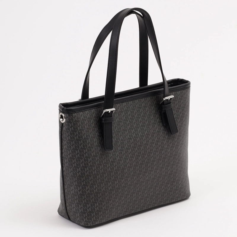 CARTERA CACHAREL CUTRI2 - 2