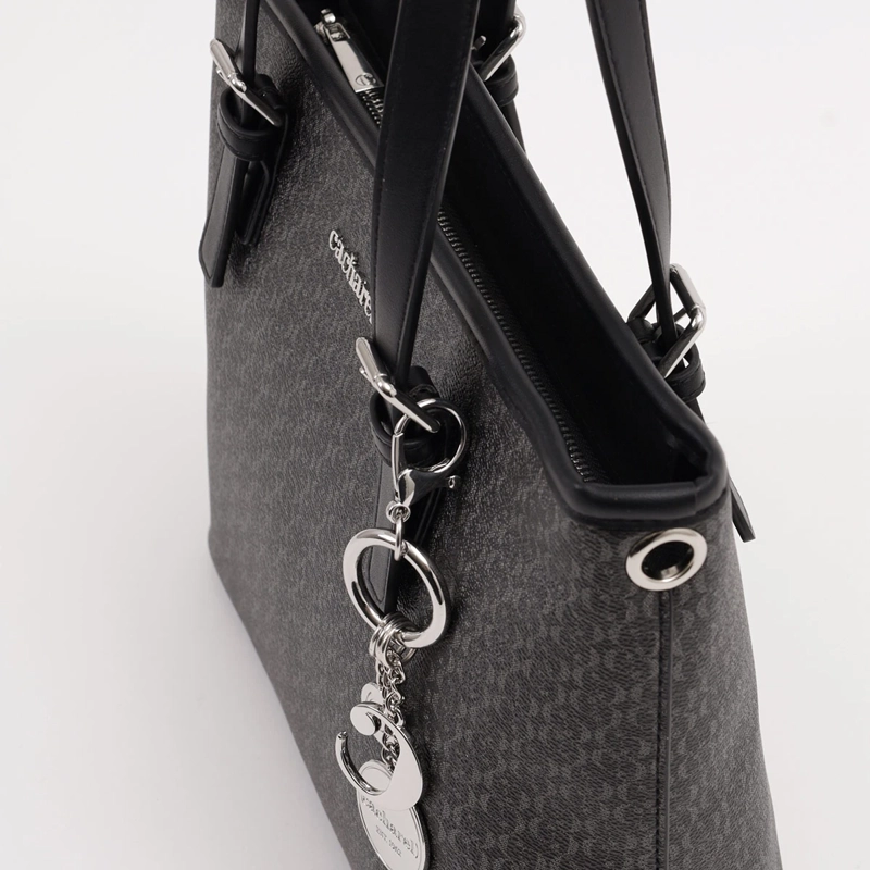 CARTERA CACHAREL CUTRI2 - 5