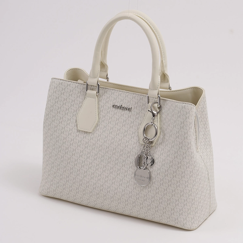 CARTERA CACHAREL CAME3 PRINT - 2