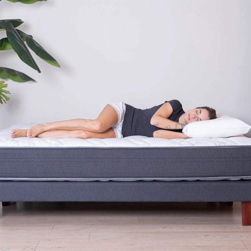 CAMA EUROPEA FLEX EUROPEDIC DUAL 2 PLAZAS + 2 ALMOHADAS ROYAL - 4