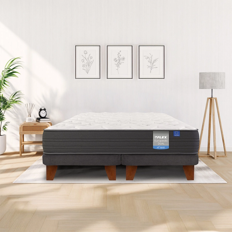 CAMA EUROPEA FLEX EUROPEDIC DUAL 2 PLAZAS + 2 ALMOHADAS ROYAL - 5