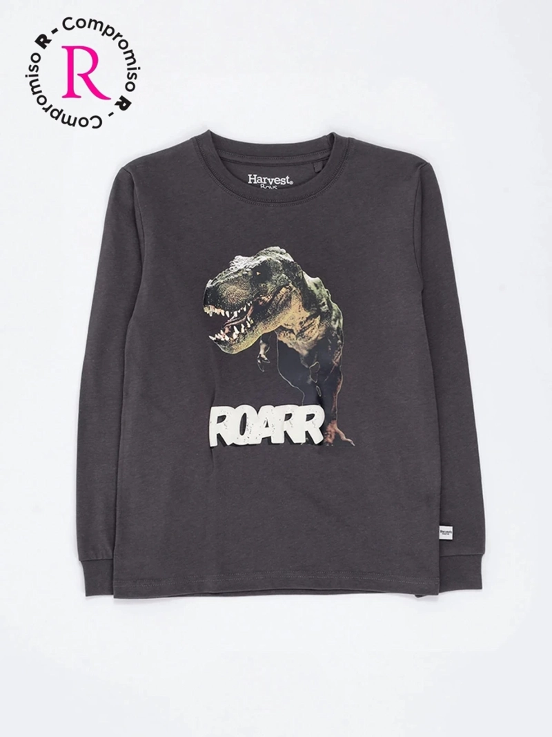 POLERA MANGA LARGA NIÑO HARVEST - 3