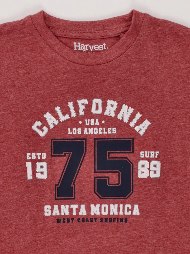 POLERA NIÑO HARVEST MANGA CORTA - 3