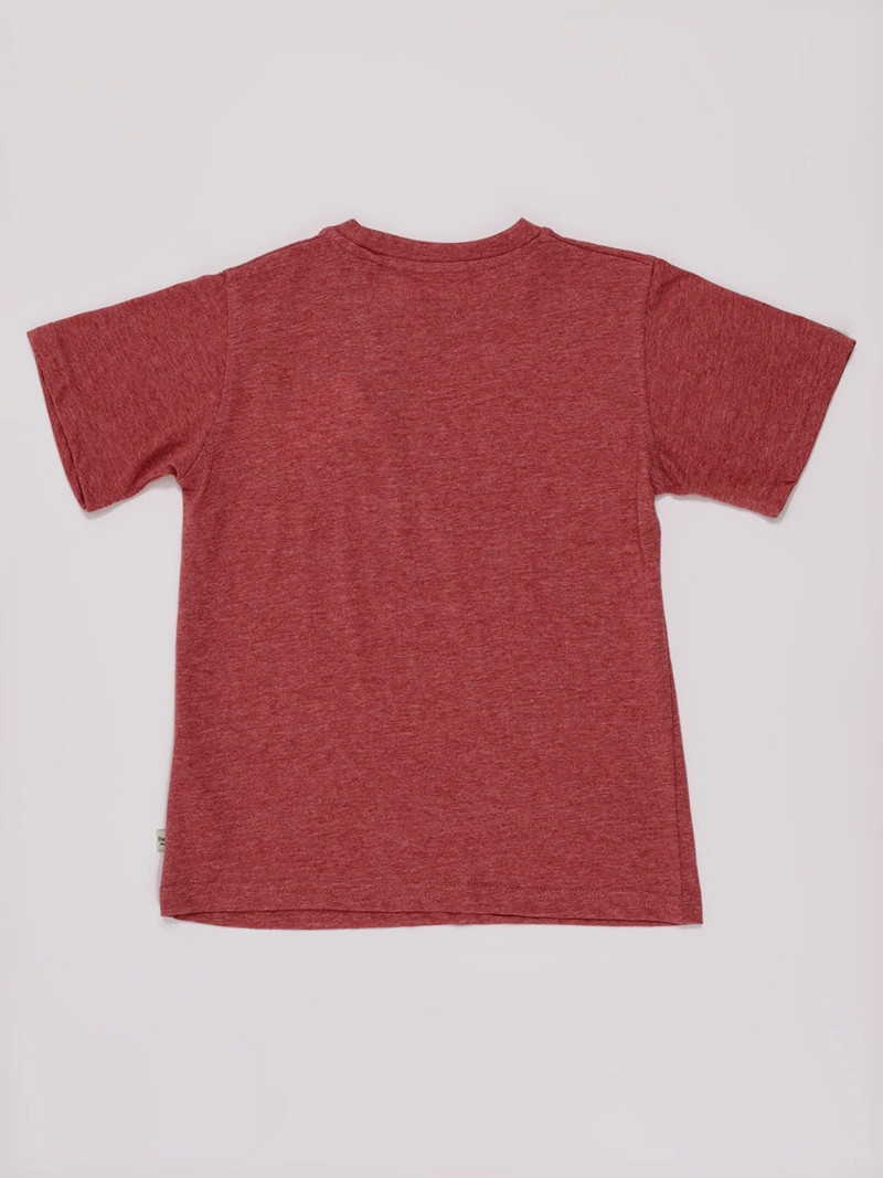POLERA NIÑO HARVEST MANGA CORTA - 2