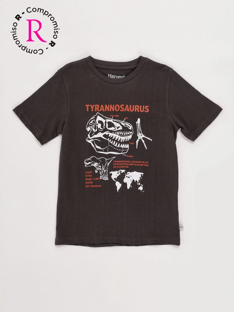 POLERA NIÑO HARVEST MANGA CORTA - 1