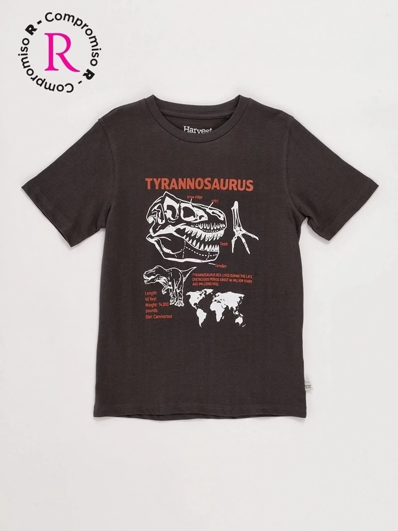 POLERA NIÑO HARVEST MANGA CORTA - 3