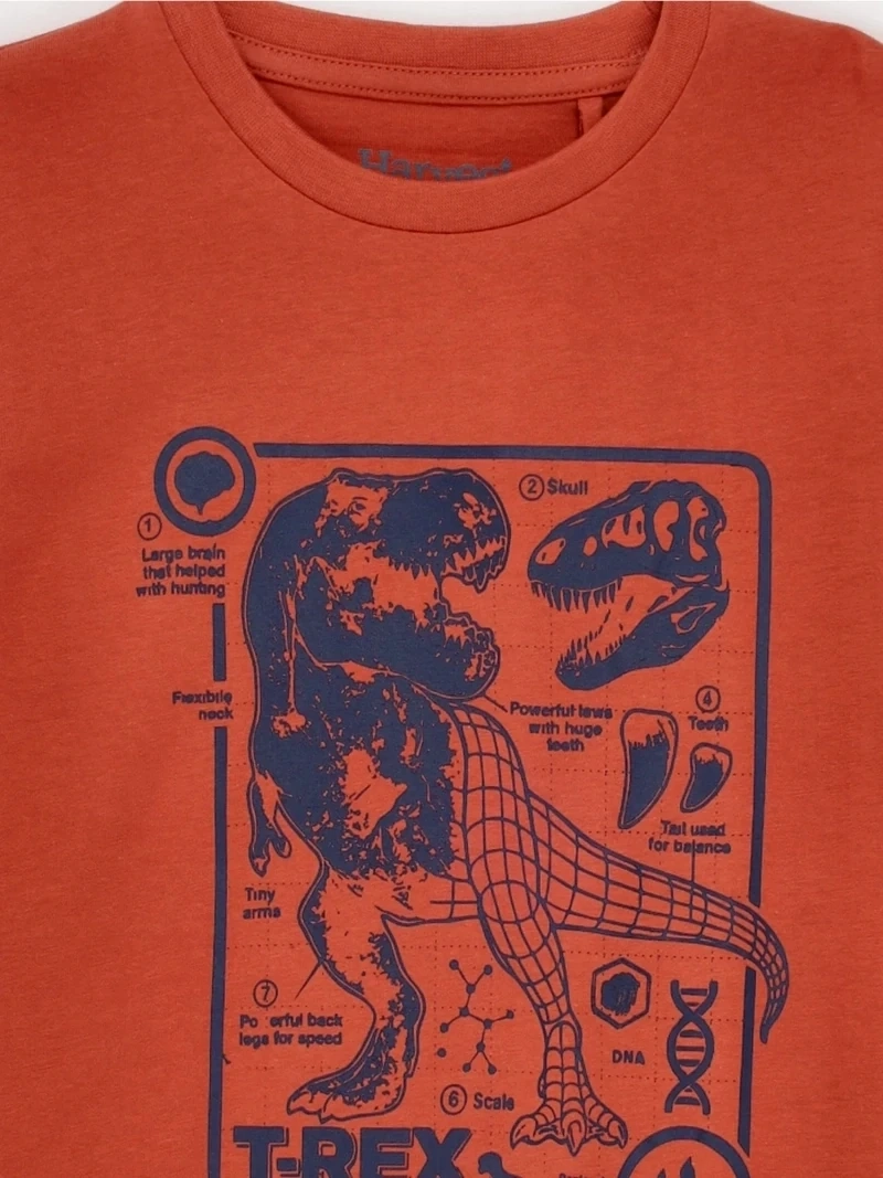 POLERA NIÑO HARVEST MANGA CORTA - 5