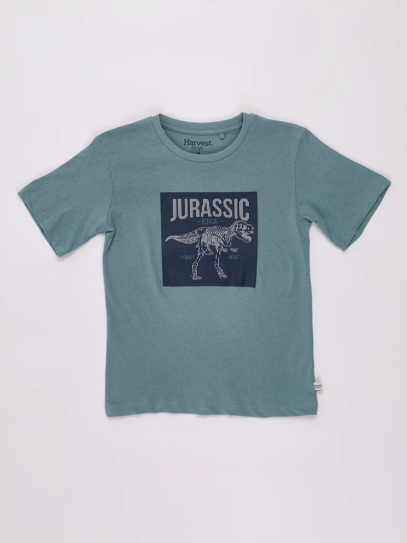 POLERA NIÑO HARVEST MANGA CORTA ALGODÓN