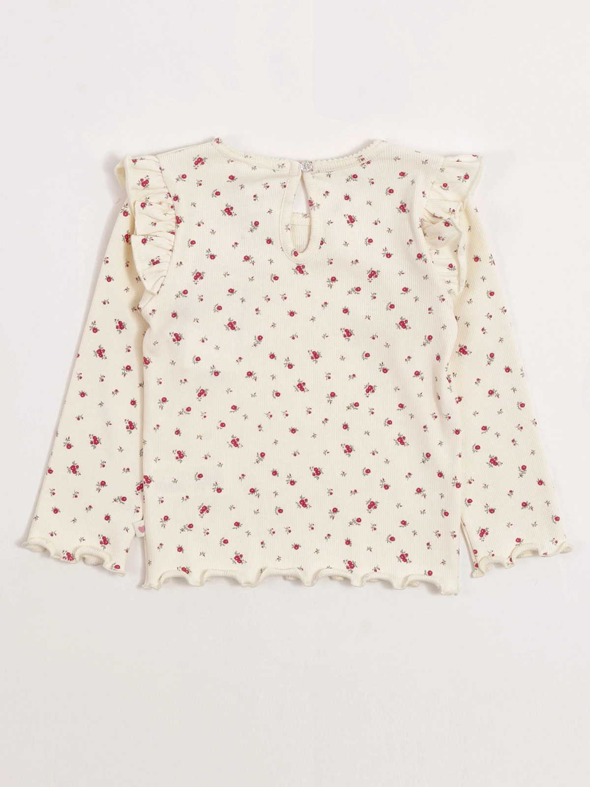 POLERA NIÑA BABY HARVEST ALGODÓN MANGA LARGA RIB ESTAMPADA VUELOS - 4