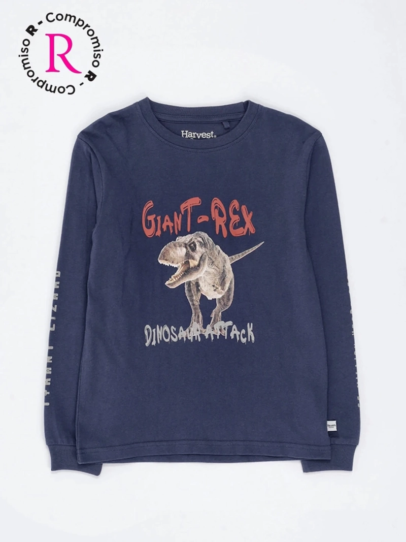 POLERA MANGA LARGA NIÑO HARVEST BASDINON - 3