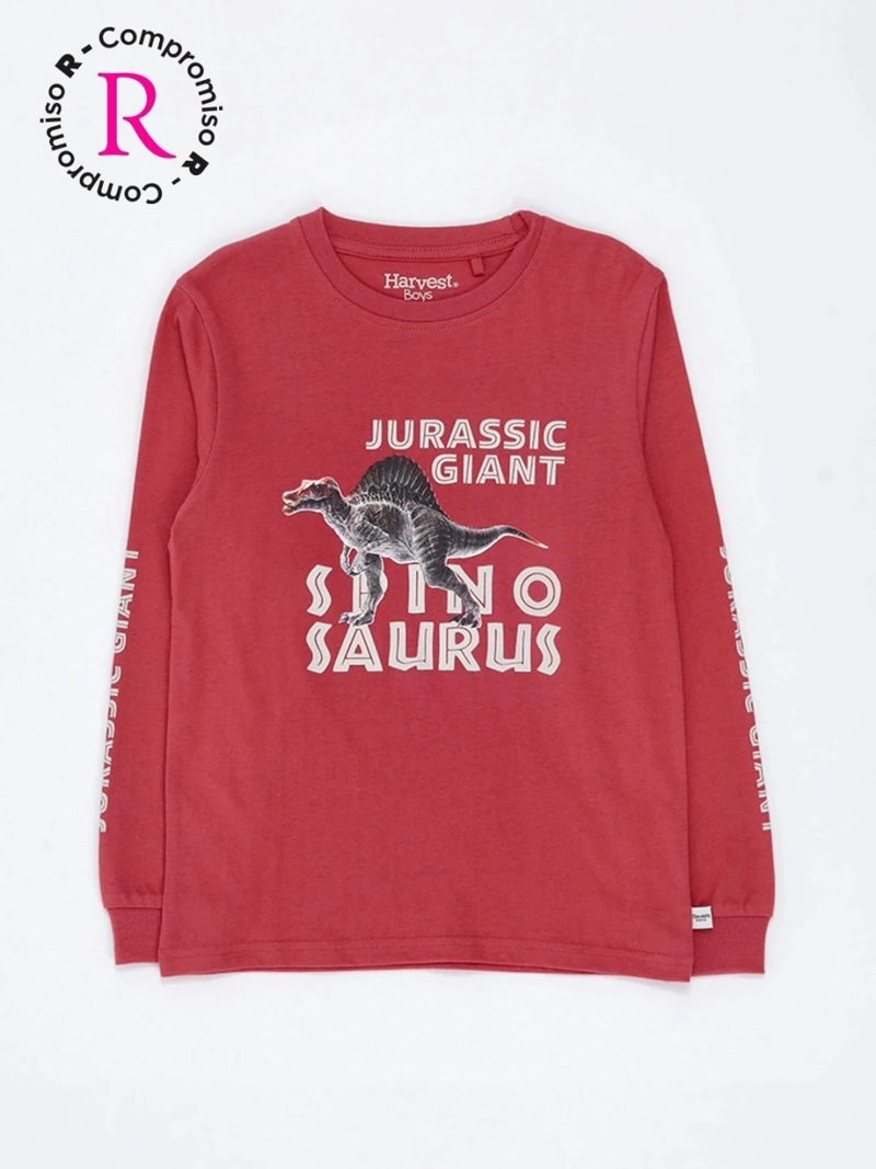 POLERA MANGA LARGA NIÑO HARVEST BASDINON - 3