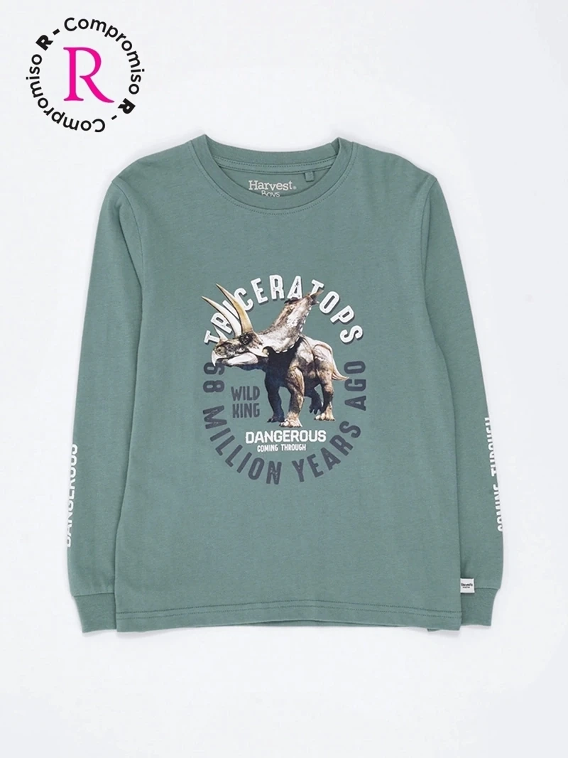 POLERA MANGA LARGA NIÑO HARVEST BASDINON - 3