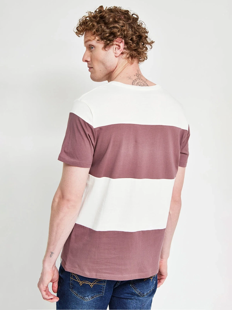 POLERA HOMBRE REGATTA ALGODÓN CUELLO REDONDO MANGA CORTA - 2