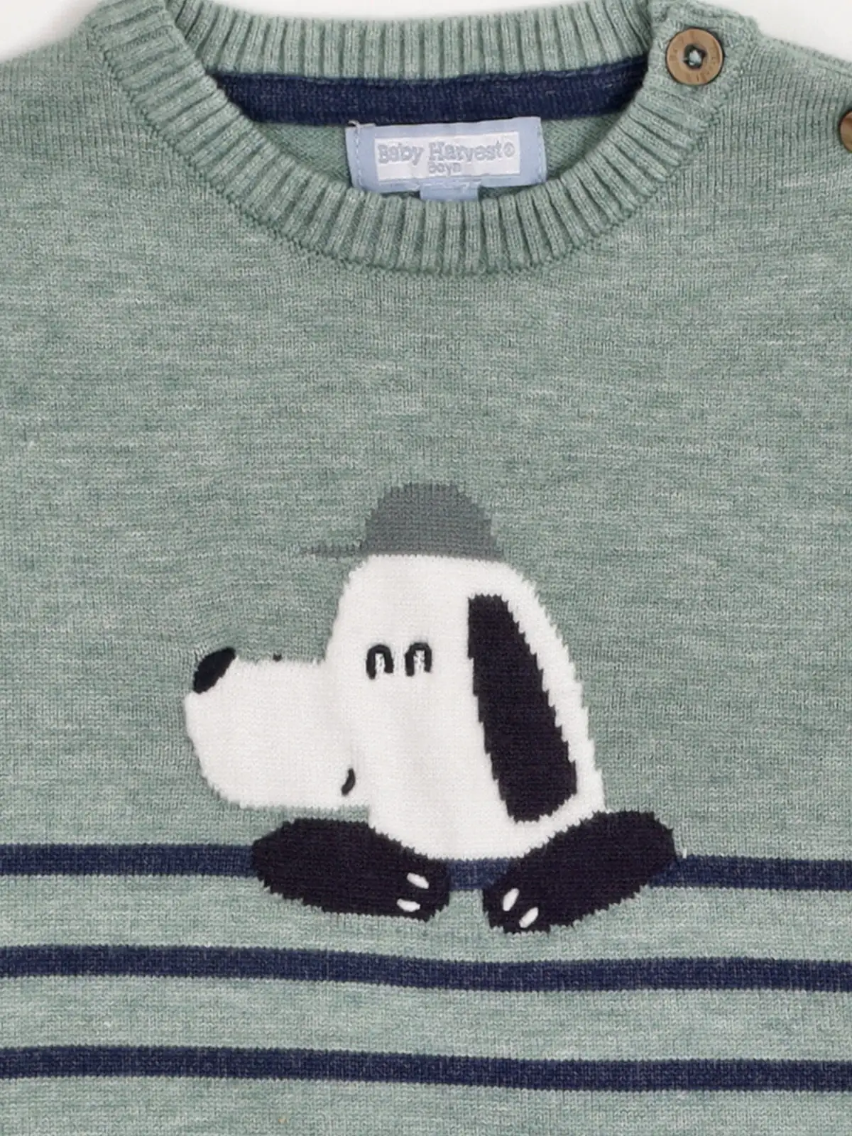 SWEATER NIÑO BABY HARVEST ANIMAL - 5