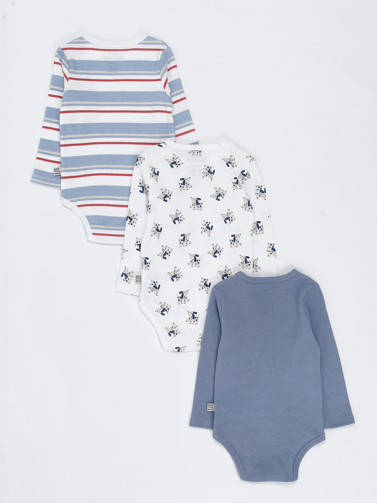 PACK X3 BODY NIÑO BABY HARVEST COLOR - 2