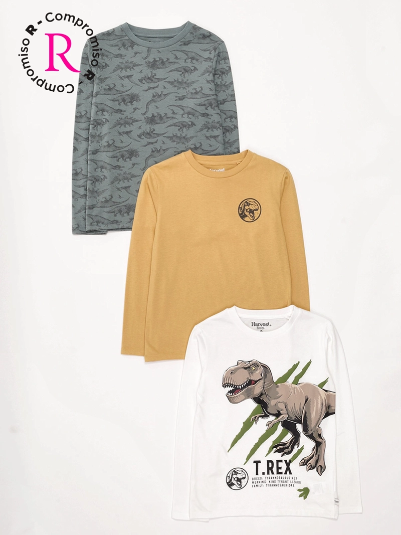 PACK X3 POLERA NIÑO HARVEST ALGODÓN MANGA LARGA - 1