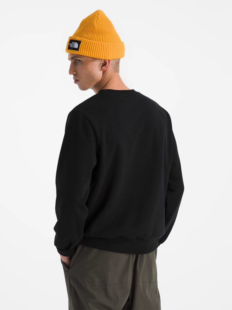 POLERÓN HOMBRE THE NORTH FACE EVOLUTION SIMPLE DOME CREW - 2