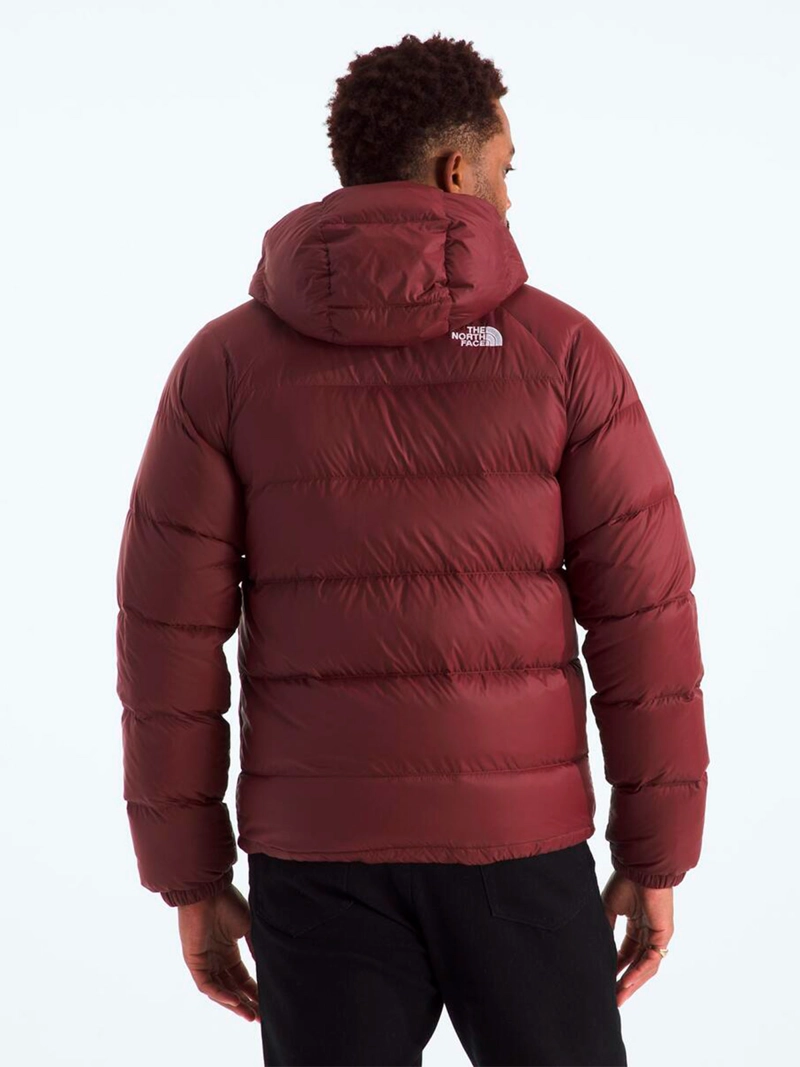 CHAQUETA HOMBRE THE NORTH FACE HYDRENALITE DOWN - 2