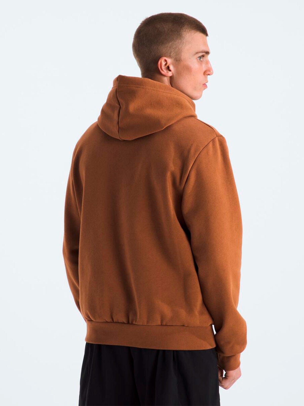 POLERON HOMBRE THE NORTH FACE ALGODÓN CANGURO EVOLUTION - 2