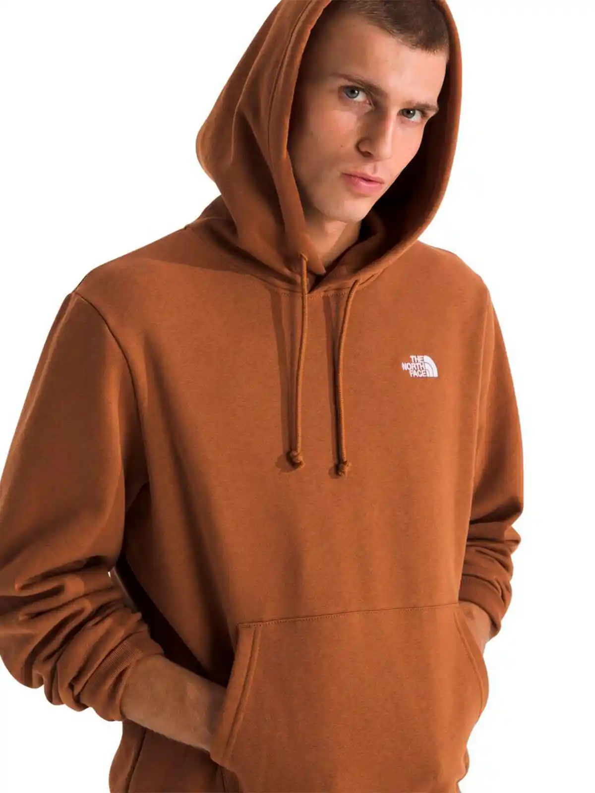 POLERON HOMBRE THE NORTH FACE ALGODÓN CANGURO EVOLUTION - 3