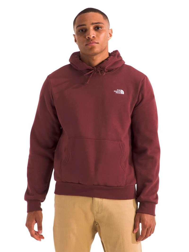 POLERON HOMBRE THE NORTH FACE ALGODÓN CANGURO EVOLUTION - 1