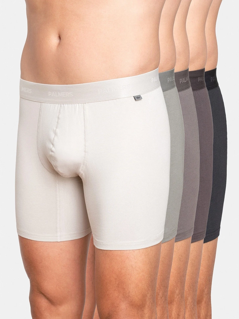 PACK X5 BÓXER HOMBRE PALMERS ALGODÓN  - 1