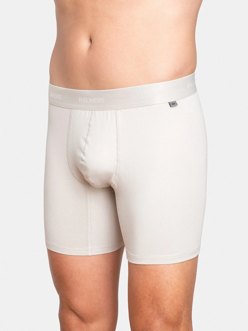 PACK X5 BÓXER HOMBRE PALMERS ALGODÓN  - 4