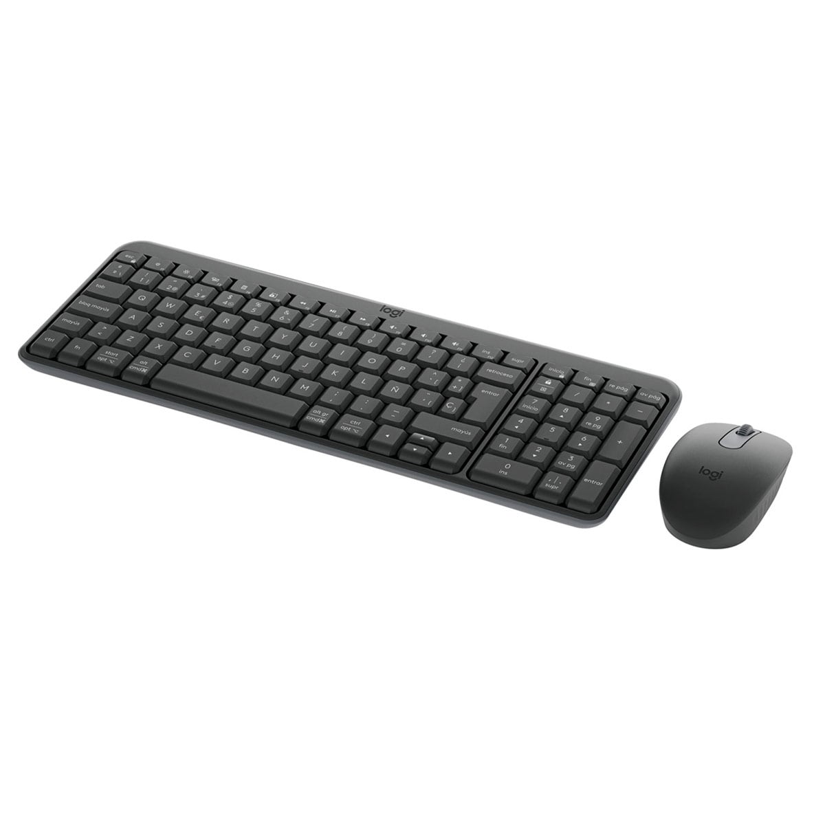 KIT LOGITECH TECLADO + MOUSE MK250 - 2