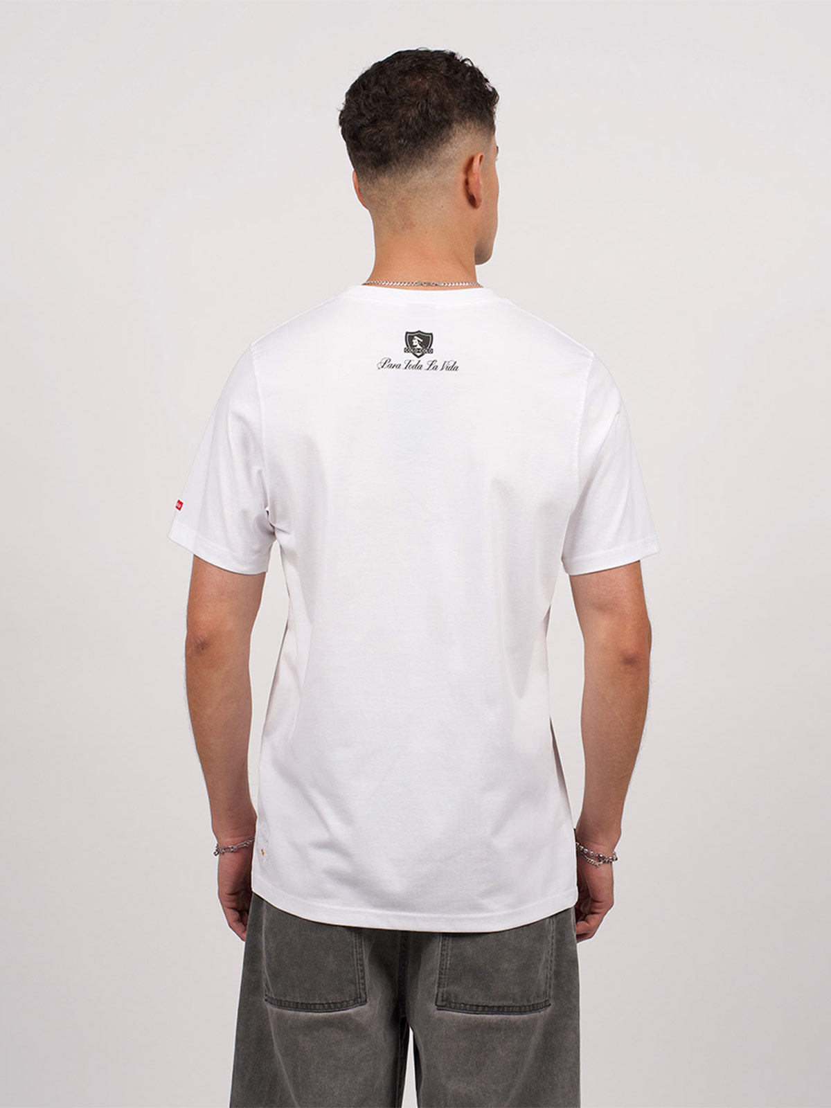 POLERA HOMBRE COLO COLO MANGA CORTA - 2