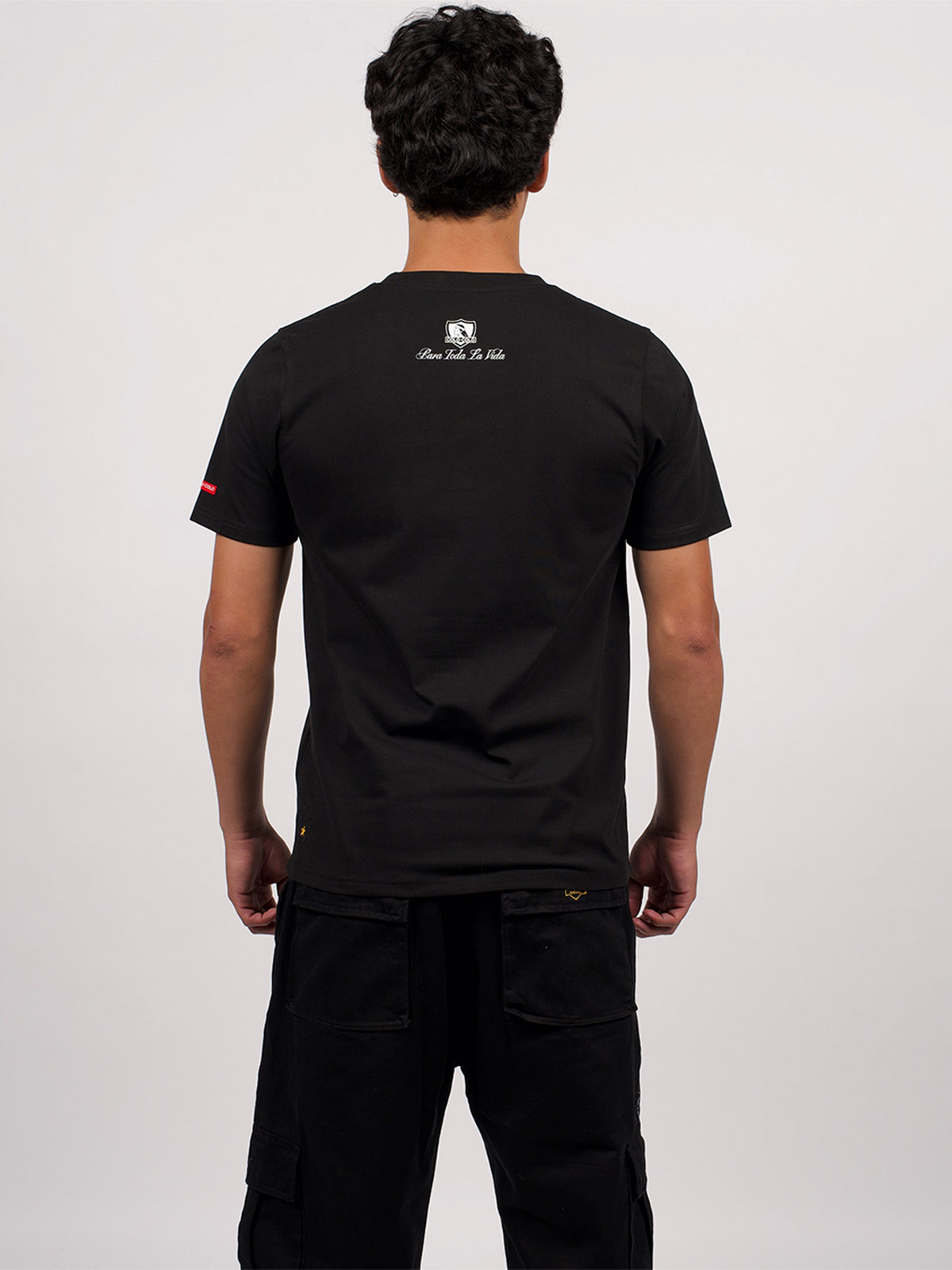 POLERA HOMBRE COLO COLO MANGA CORTA - 2