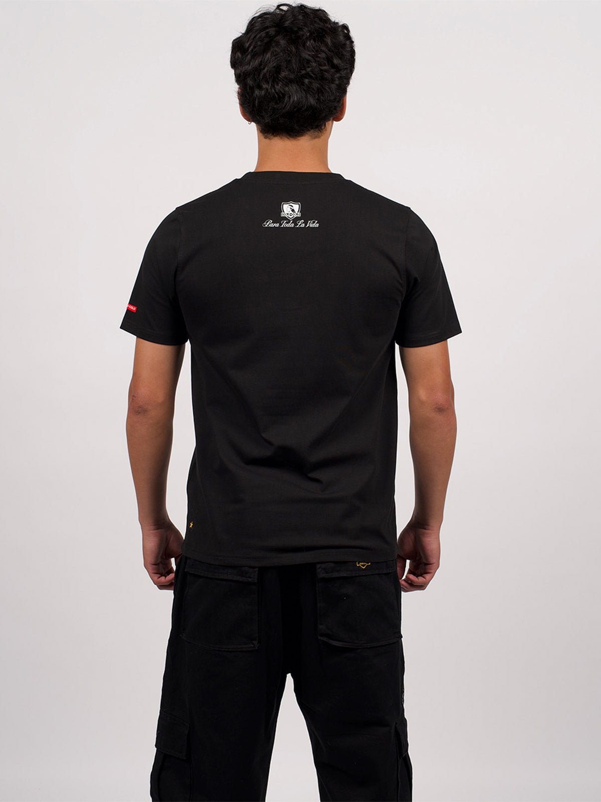 POLERA HOMBRE COLO COLO MANGA CORTA - 2