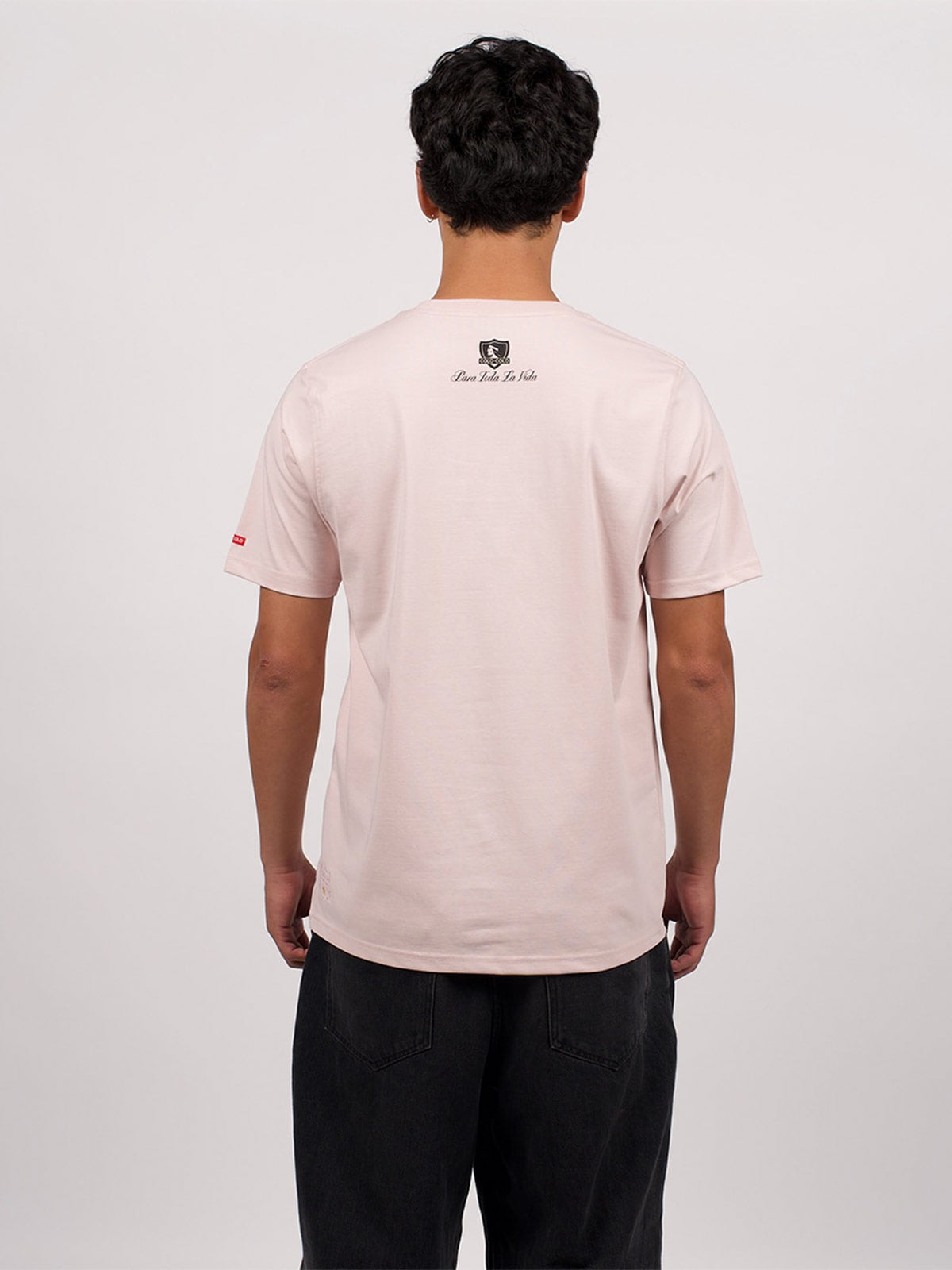 POLERA HOMBRE COLO COLO MANGA CORTA - 2