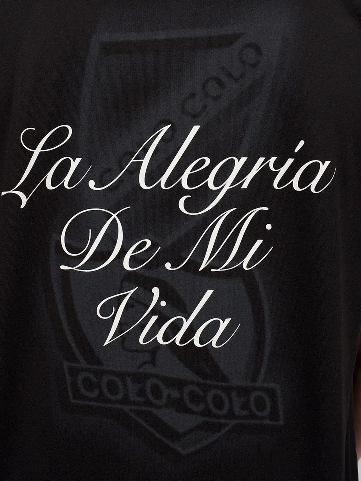 POLERA HOMBRE COLO COLO MANGA CORTA - 3