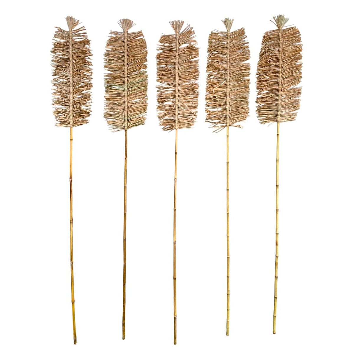 RAMA DECORATIVA MAISON LINETT MEDITERRÁNEO NATURAL CLARA - 2