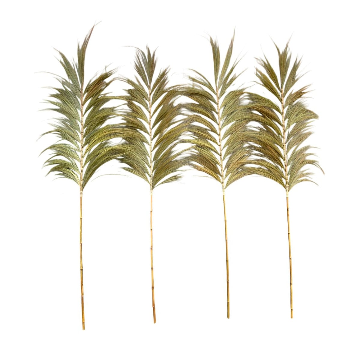 RAMA DECORATIVA MAISON LINETT MEDITERRÁNEO NATURAL OSCURA - 2