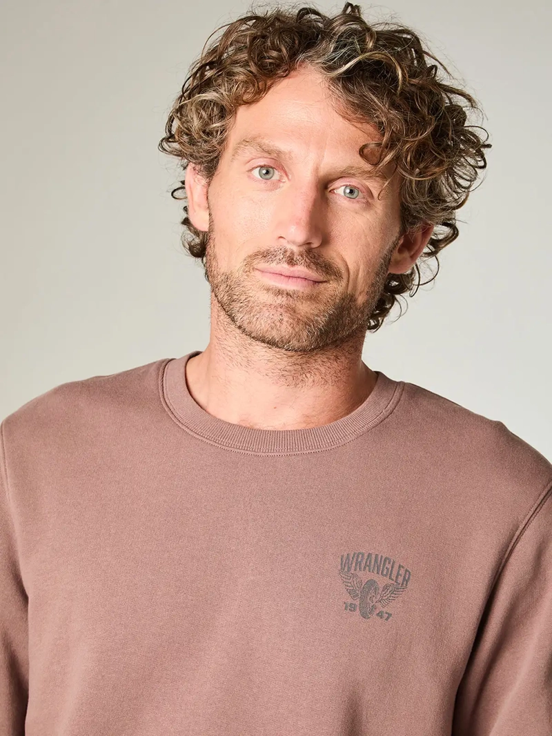 POLERÓN HOMBRE WRANGLER ALGODÓN REGULAR FIT - 4