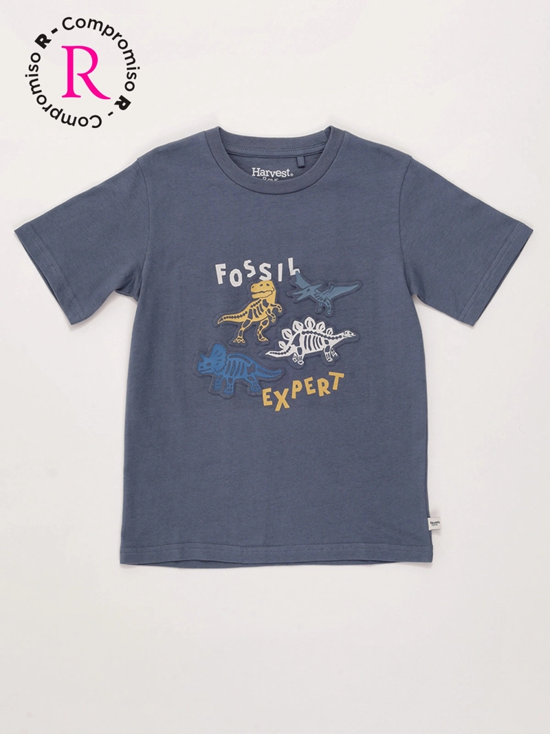 POLERA NIÑO HARVEST ALGODÓN MANGA CORTA - 3