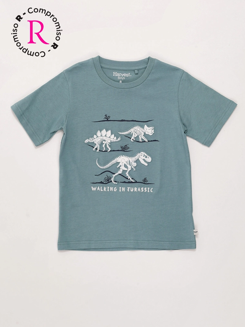 POLERA NIÑO HARVEST ALGODÓN MANGA CORTA - 3