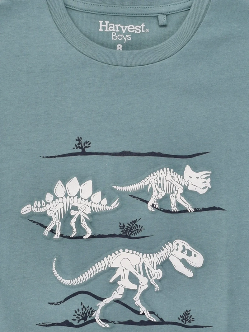 POLERA NIÑO HARVEST ALGODÓN MANGA CORTA - 5