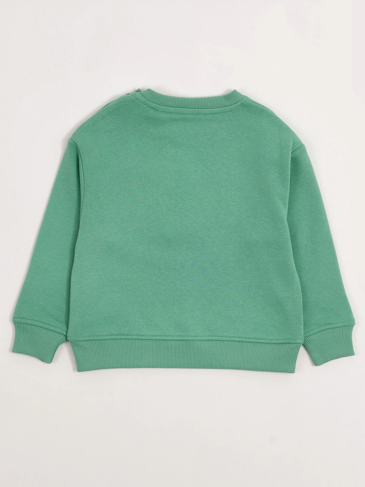 POLERÓN NIÑO BABY HARVEST ALGODÓN ESTAMPADO - 4