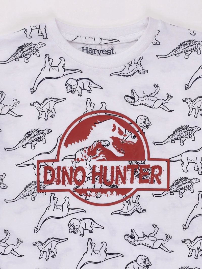 POLERA NIÑO HARVEST ALGODÓN MANGA CORTA PRINT - 4