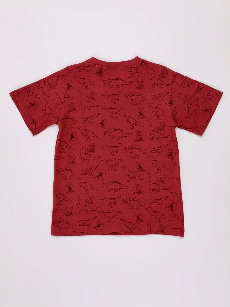 POLERA NIÑO HARVEST ALGODÓN MANGA CORTA PRINT - 2