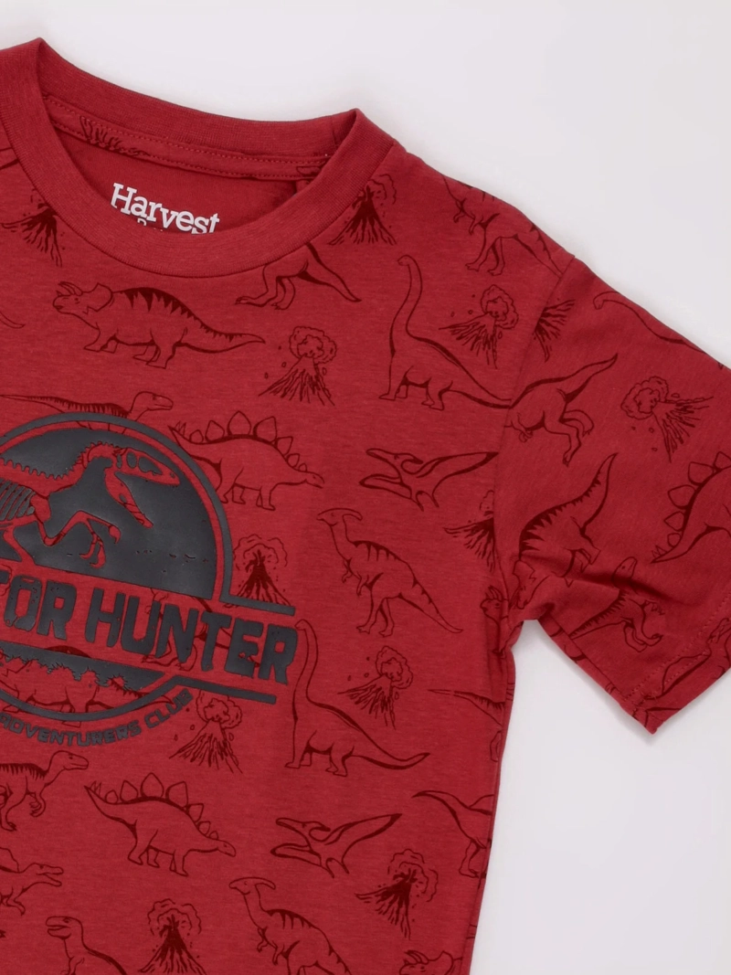 POLERA NIÑO HARVEST ALGODÓN MANGA CORTA PRINT - 3
