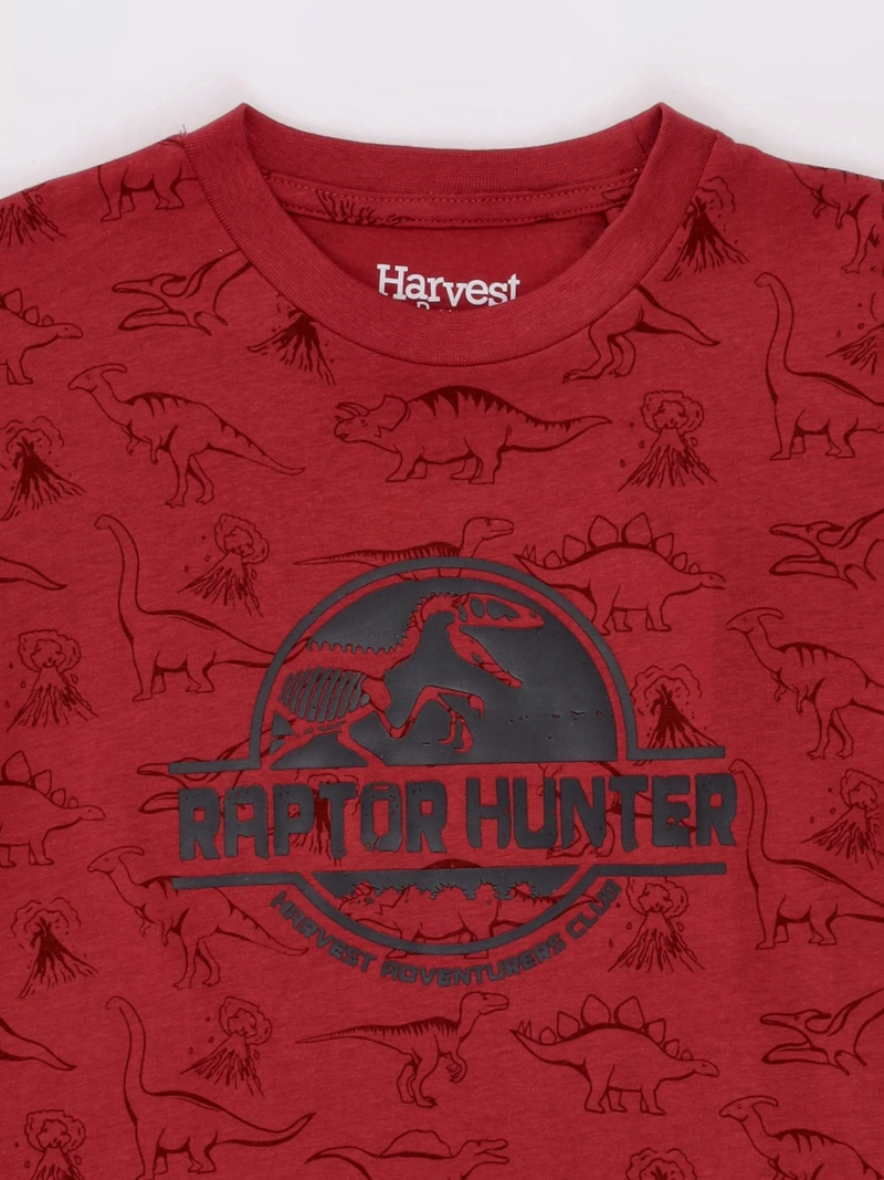 POLERA NIÑO HARVEST ALGODÓN MANGA CORTA PRINT - 4