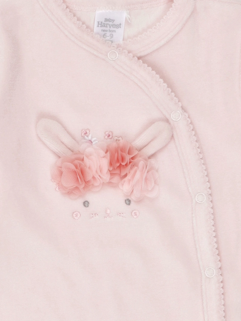 OSITO NIÑA BABY HARVEST ALGODÓN PLUSH - 6