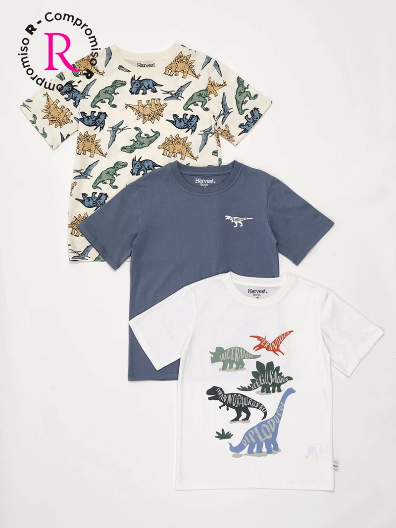 PACK X3 POLERA NIÑO HARVEST ALGODÓN MANGA CORTA